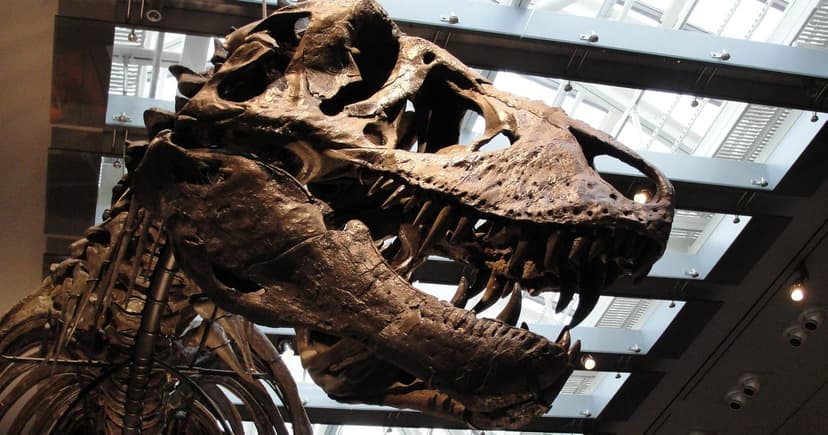 T. Rex Was Warm-Blooded: New Study Reveals Dinosaur's True Nature