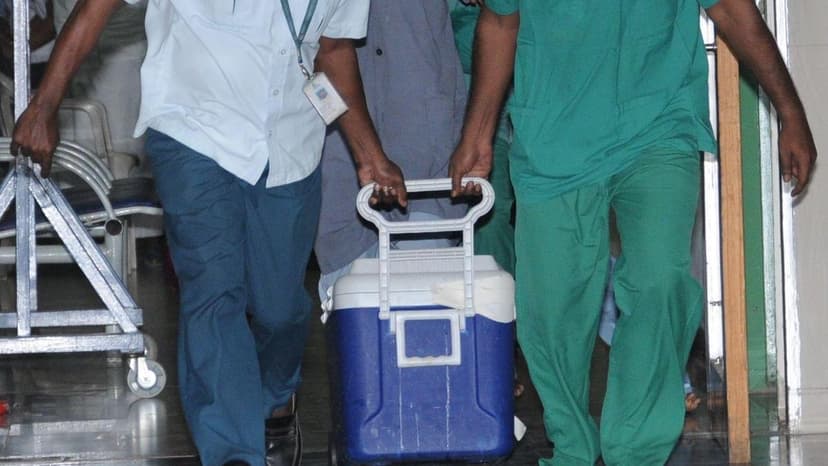 Tamil Nadu Organ Transplants Surge 180%