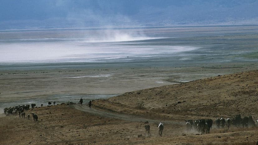 Tanzania Park Rangers Arrested After Man Dies