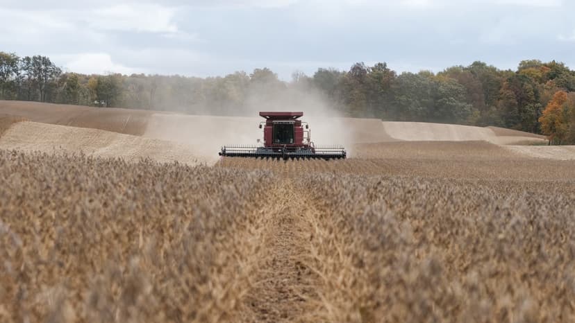 Tariffs Squeeze Businesses, Force Closures