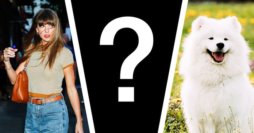 Taylor Swift & Kelce's Mystery Dog: A Canine Enigma
