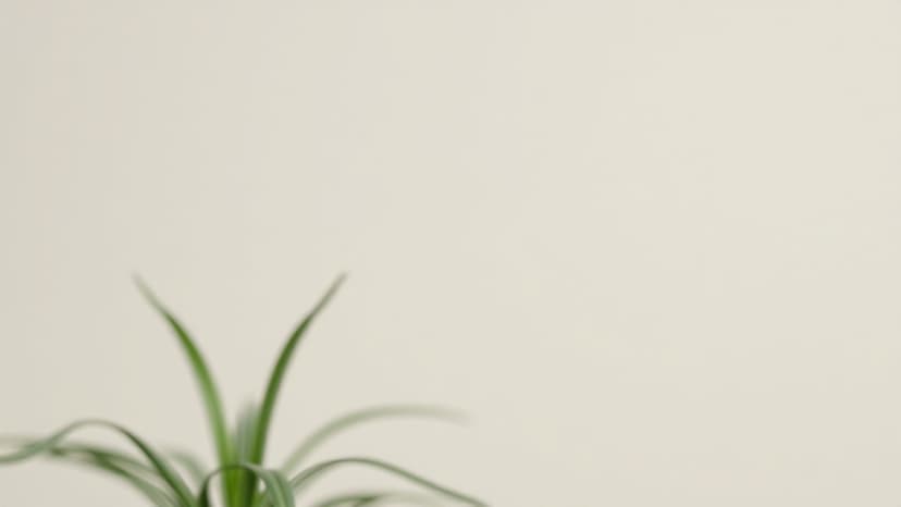 TCS Fined $194M Over Trade Secrets