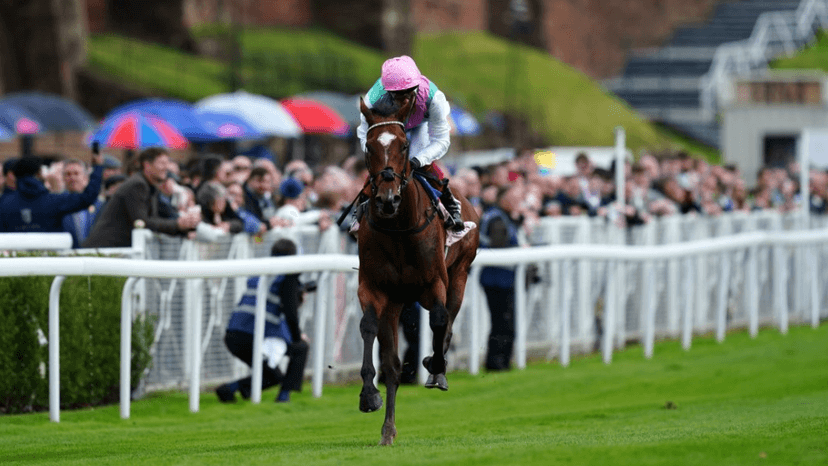 Drunk Teacher Bites Cop, Banned From Classroom