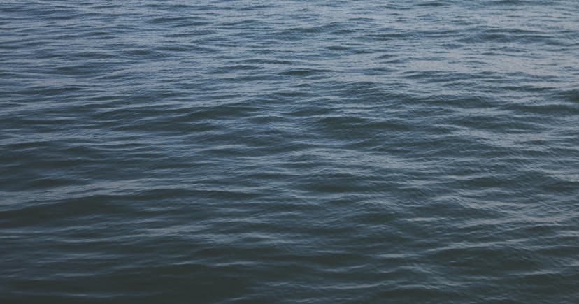 Teen Saved After Near-Drowning at San Gregorio Beach