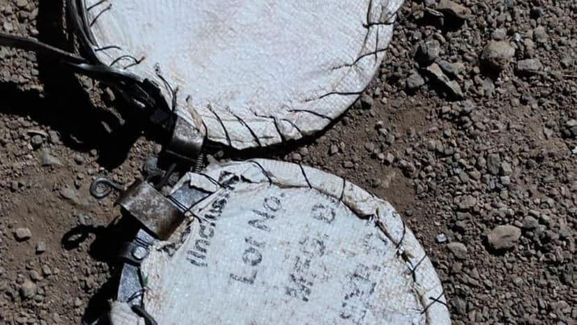 Jaw Traps Seized in Telangana; Poaching Threat Looms