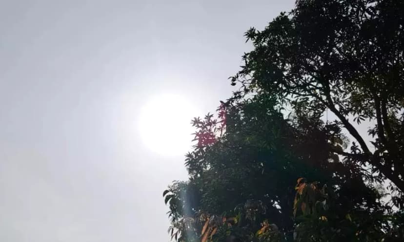 Telangana Braces for Heat and Humidity Amidst Scattered Showers