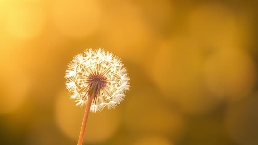 Terminal Cancer Mum Finds Mental Peace Through NHS Help