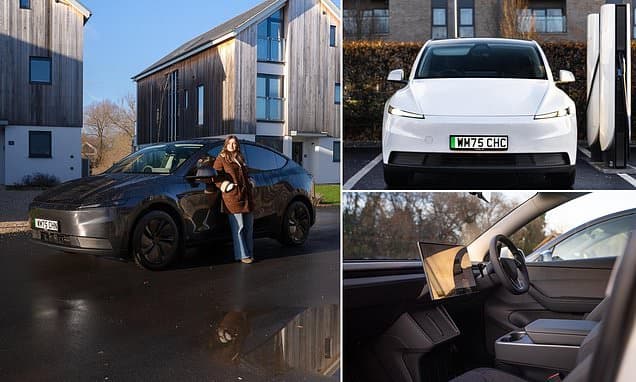 Tesla Model Y: Cheaper SUV Arrives!