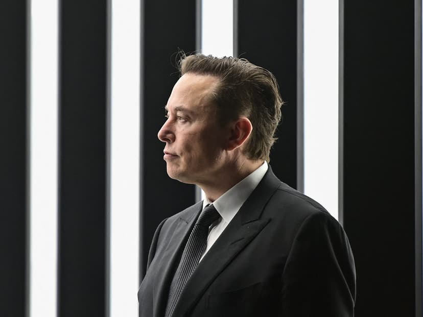 Musk's Jab: Tesla Avoids Animal Collisions