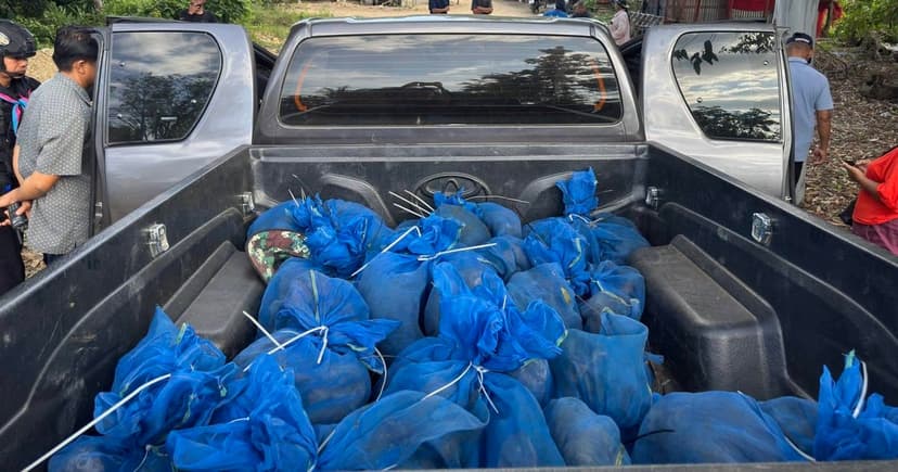 Thai Rangers Arrest Suspected Wildlife Smugglers, Seize 81 Macaques