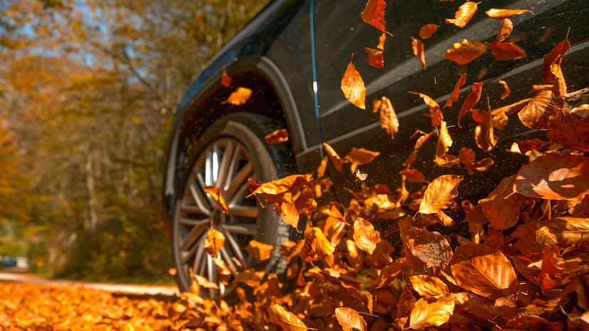 Thanksgiving Travel Split: Roads Empty, Skies Packed