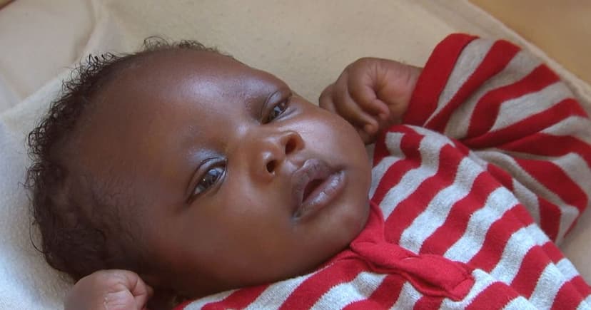 Siblings Abandoned 3 Times: A Lingering Mystery