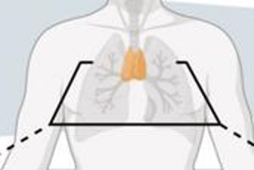 Thymus: The Hidden Key to Longer Life?