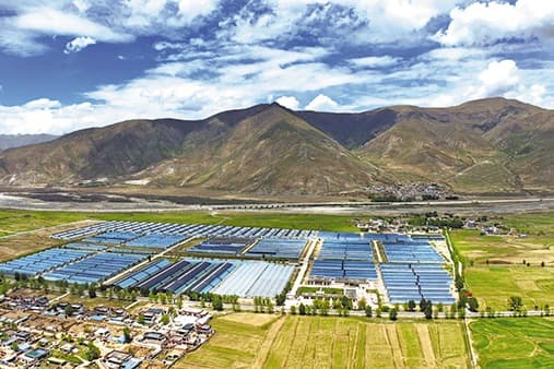 Tibet's Winter Scarcity Ends: Greenhouses Bloom Year-Round