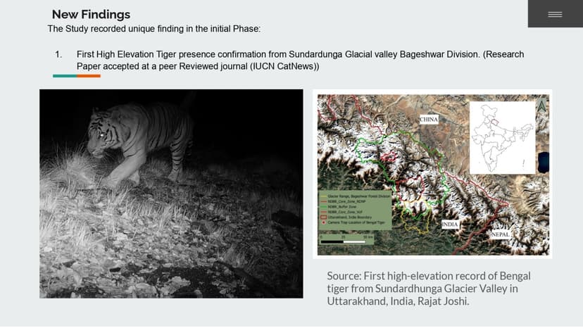 Tiger Spotted at Record Altitude in Himalayas
