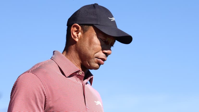 Tiger Woods Seeks Treatment After DUI Arrest