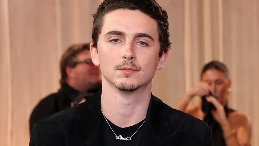 Chalamet: My 'Gimmick' is Art