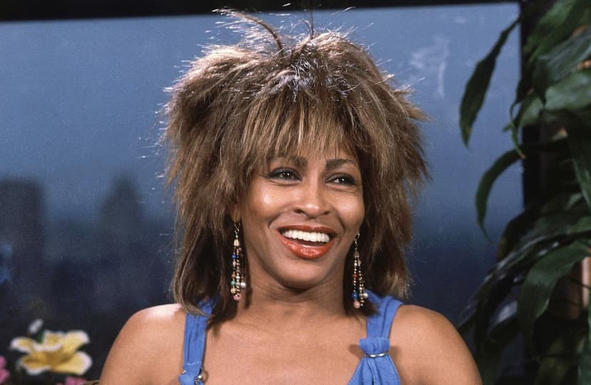 Tina Turner's Legacy Lives On With New Acquisition