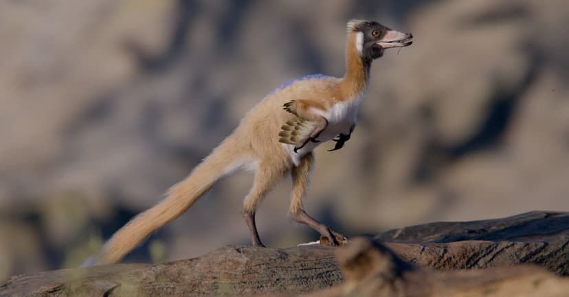 Tiny Dinosaur Roamed Beside Giants in Patagonia
