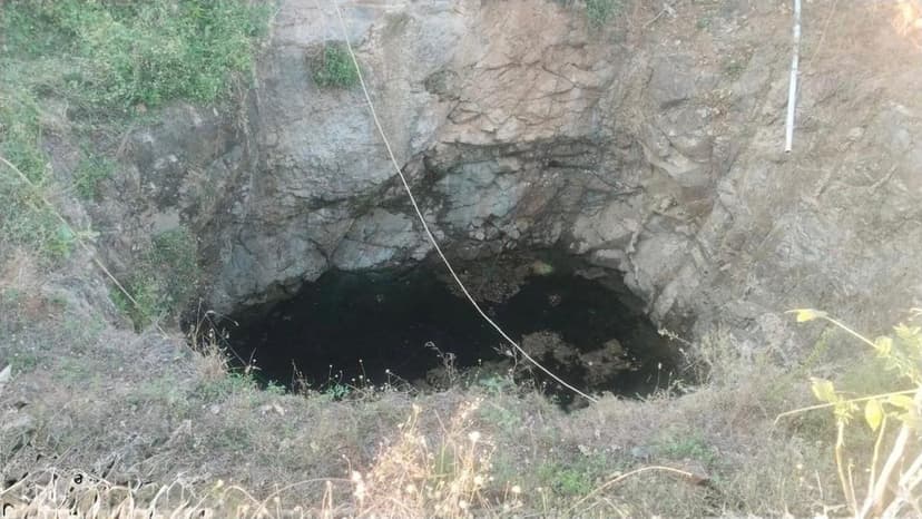 Wild Animals Fall Into Open Wells: Forest Dept Acts