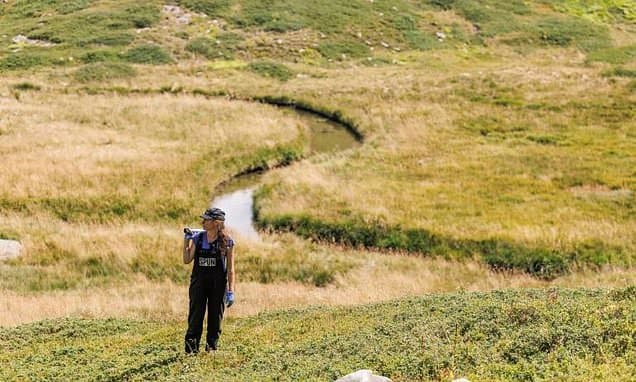 Fungi's Hidden World Wins Major Environmental Prize