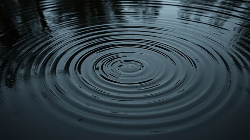 Christmas Day Tragedy: Toddler Dies After Pond Fall