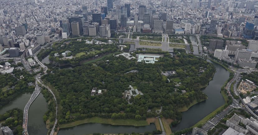 Tokyo's Palace Forest: New Species Found, Old Ones Vanish