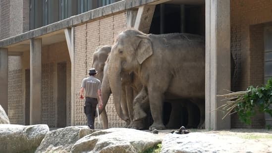 Bomb Threat Forces Toledo Zoo Evacuation
