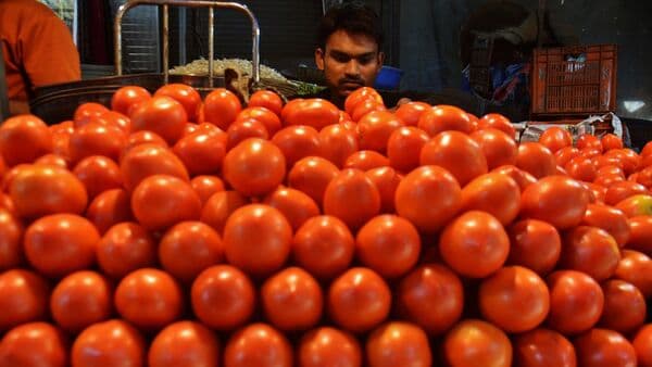 India Battles Tomato Price Surge with Subsidized Sales