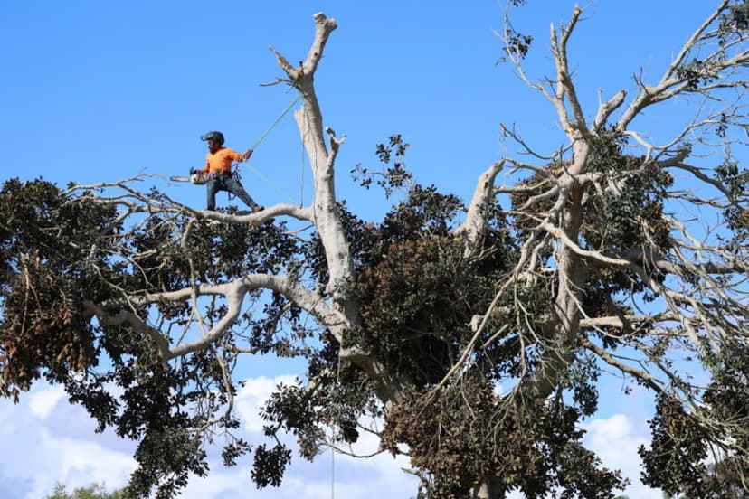 San Clemente Golf Course Devastated by Possible Tornado