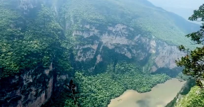 Bus Teeters on Canyon Edge, Tourists Leap to Safety
