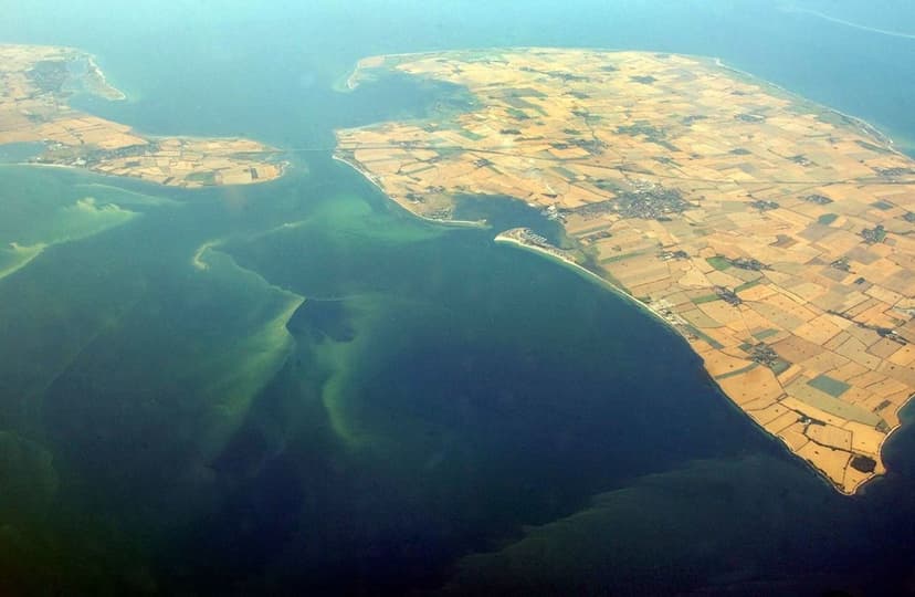 Germany Warns Against Toxic Algae in Lakes