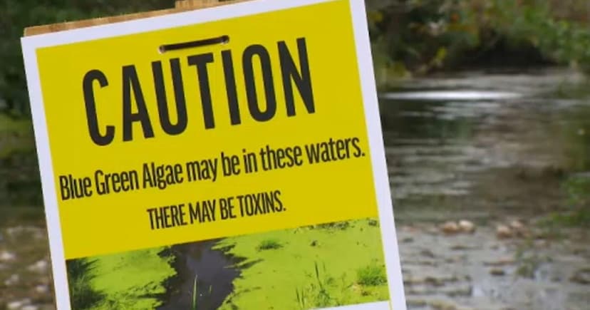 Toxic Algae Alert: South Florida Canal Poses Health Risk