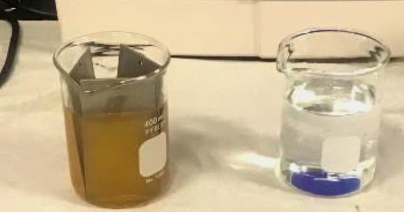 Cancer Chemical Ban: MN Leads Nation's Fight