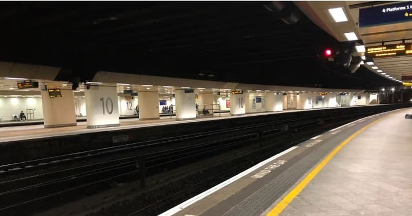 Train Station Attack: Couple Assaulted, Man Pushed Onto Tracks