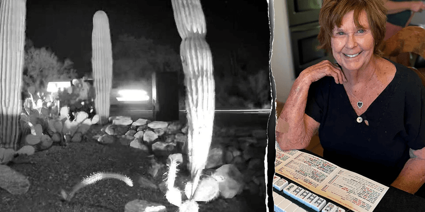 Ring Cam Captures Cars Near Abduction Site