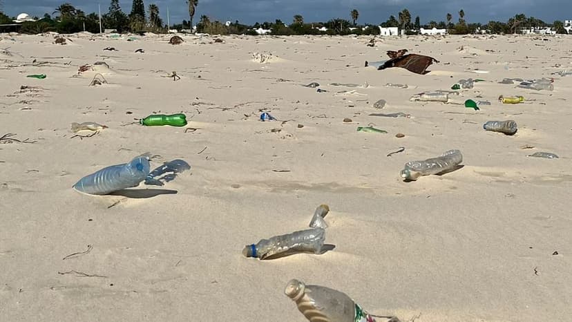 Tunisia's Paradise Beaches Drowned in Plastic