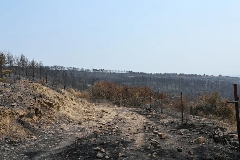 Turkey Wildfires Rage: Homes Lost, Hospitals Evacuated