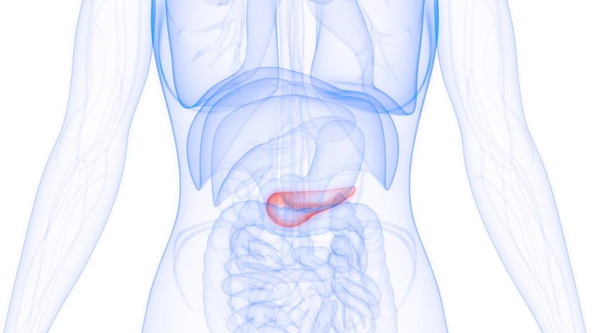Diabetes Raises Cancer Risk, Study Warns