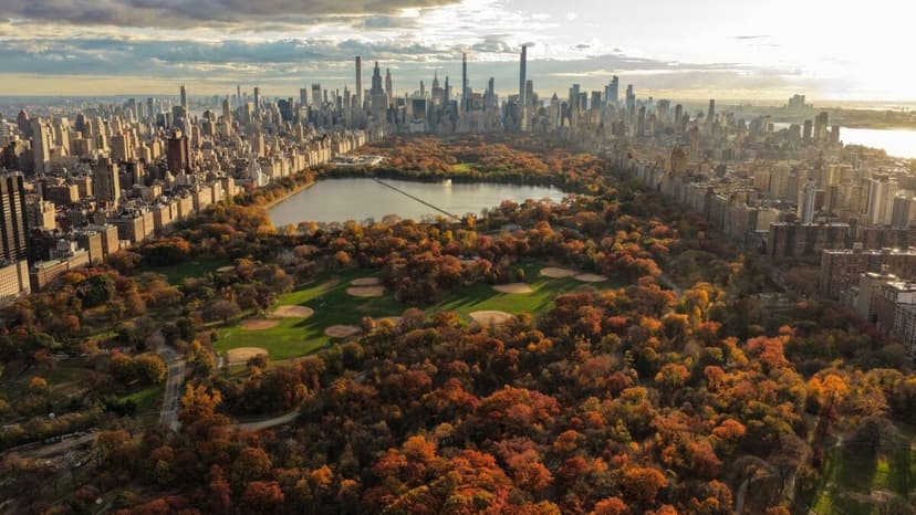 Uber Bets Big on Robotaxi Data Power