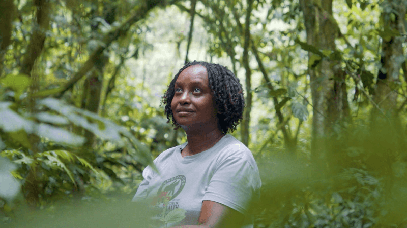 Gorilla Doctor's Health Focus Saves Uganda's Primates