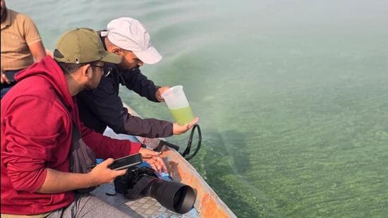 Ujani Dam Suffers Ecological Collapse