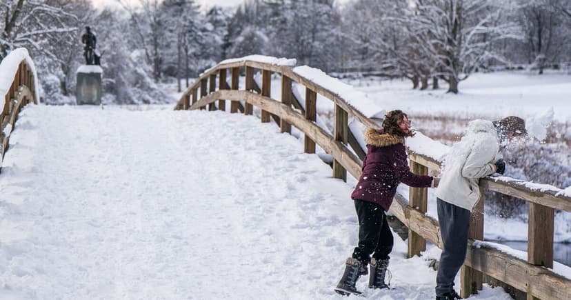 UK Braces for Siberian Blast: -10C Deep Freeze Ahead