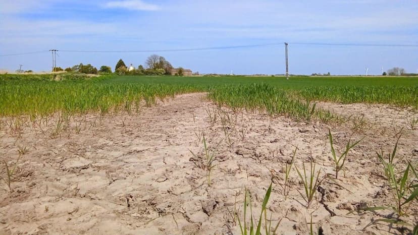 UK Faces Summer Drought Again