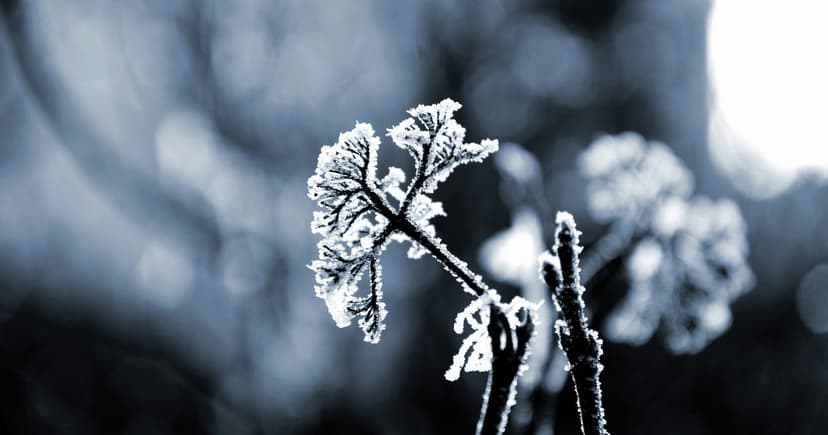 UK Drought Lingers Despite Rain: Winter Woes Ahead