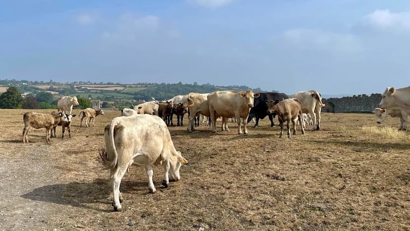 Somerset Reservoirs At Crisis Point Amid Driest Spring
