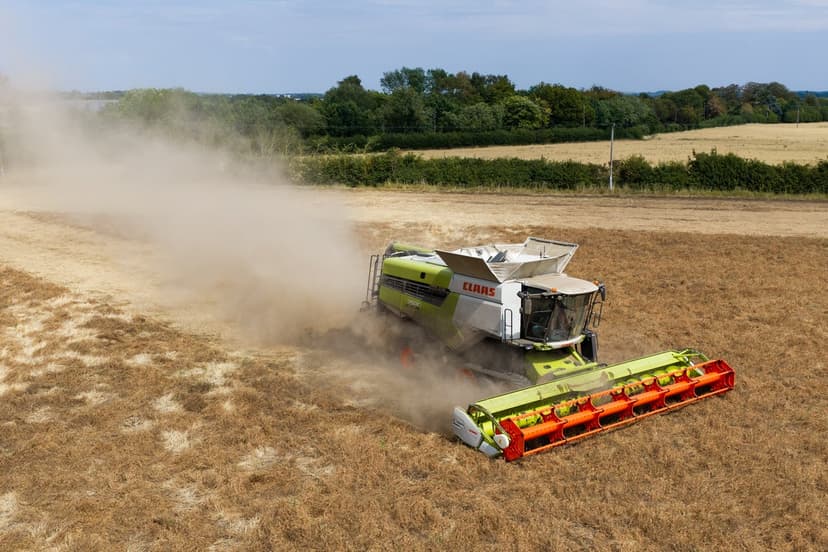 UK Food Crisis: Britain Off The Cliff Edge