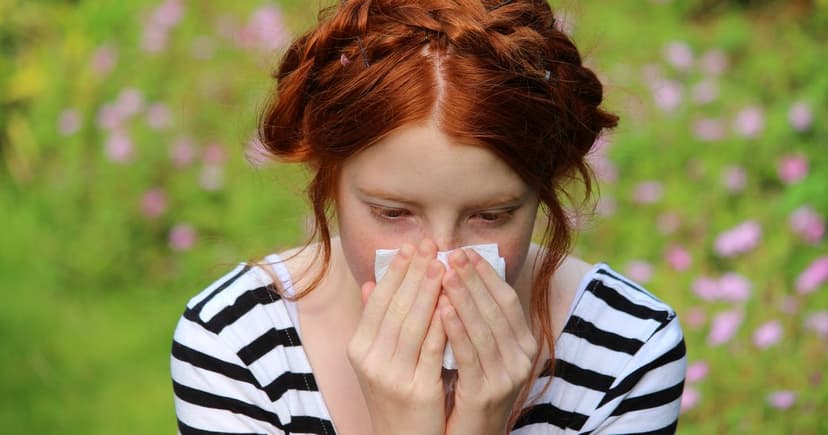 Red Alert: Hay Fever Strikes Millions!