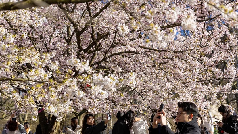 UK Heatwave: Warm as Madrid This Week!