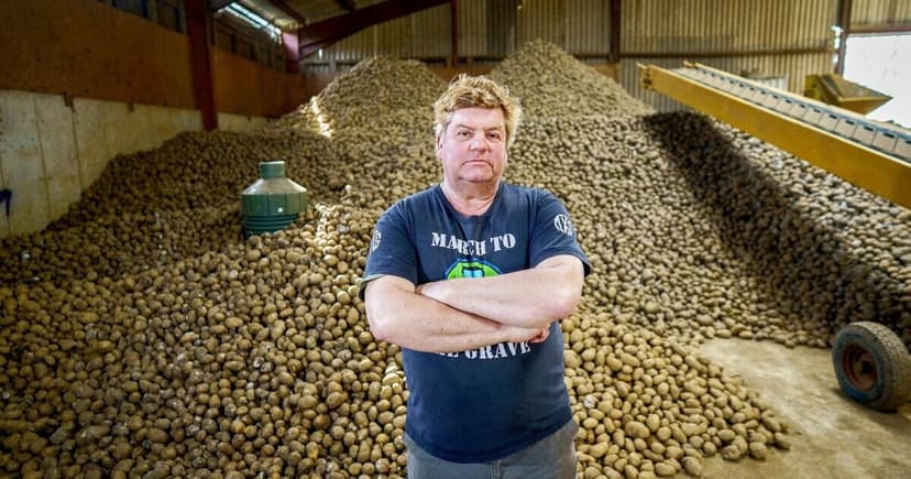 Potato Mountain: Jabs Hit Spud Sales Hard